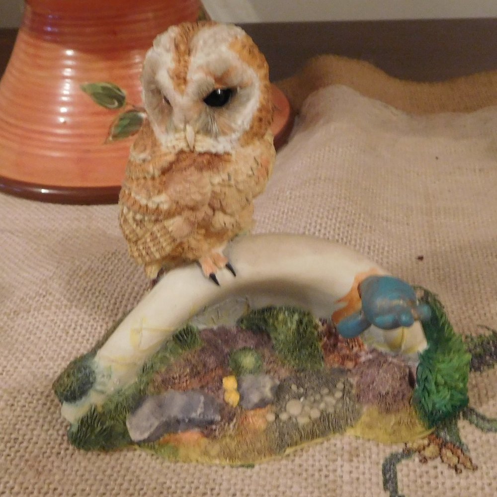 Owl _ on a sink